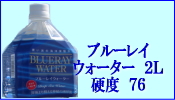 �֥롼�쥤����������������
