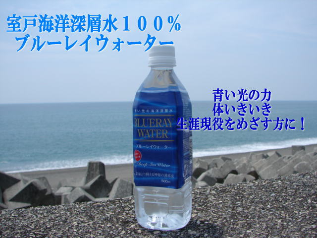 �֥롼�쥤��������������������