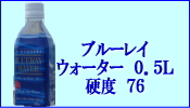 �֥롼�쥤��������������������