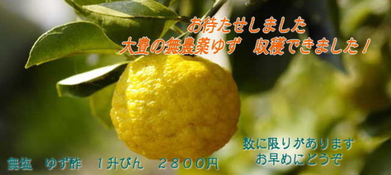�椺