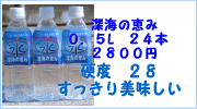 �����ηäߣ�����L